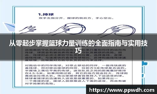 从零起步掌握篮球力量训练的全面指南与实用技巧