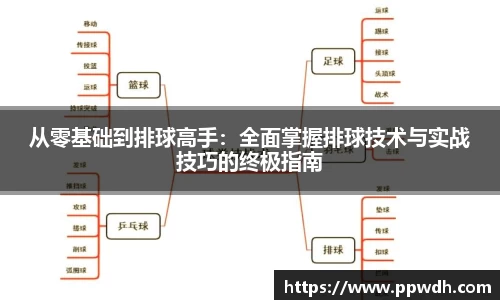 kaiyun从零基础到排球高手：全面掌握排球技术与实战技巧的终极指南